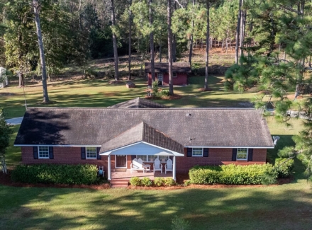 georgia olive grove for sale georgia woodpecker trail olive farm