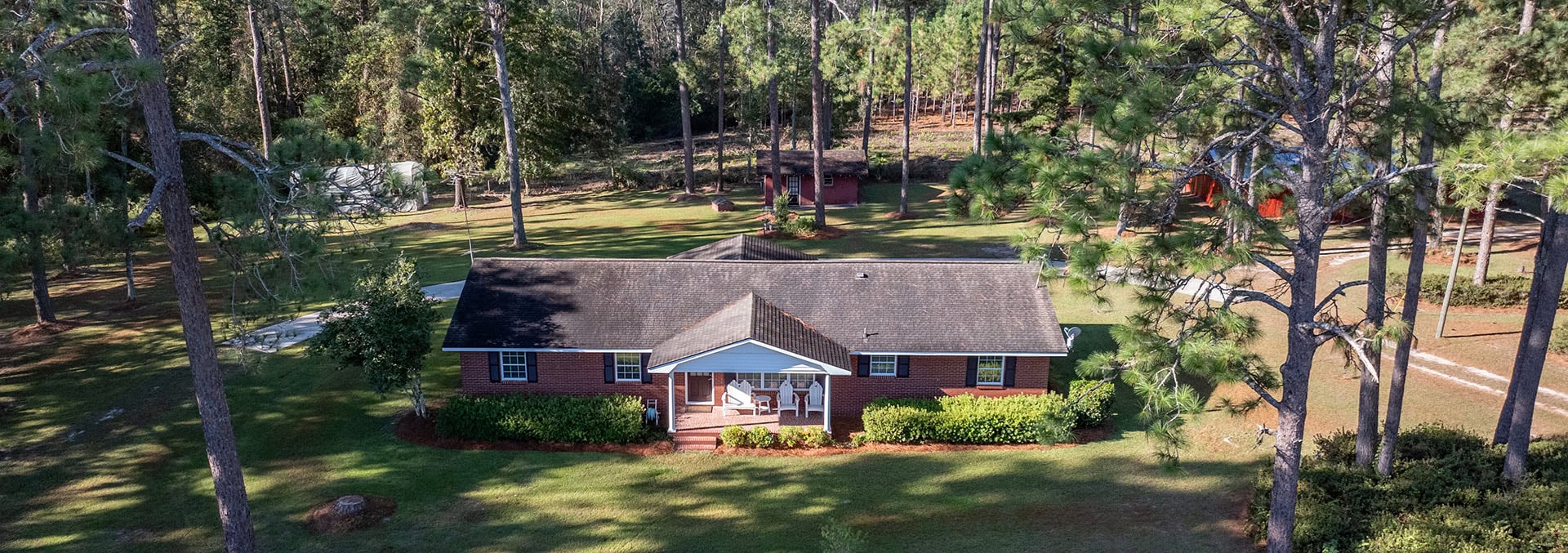 georgia olive grove for sale georgia woodpecker trail olive farm