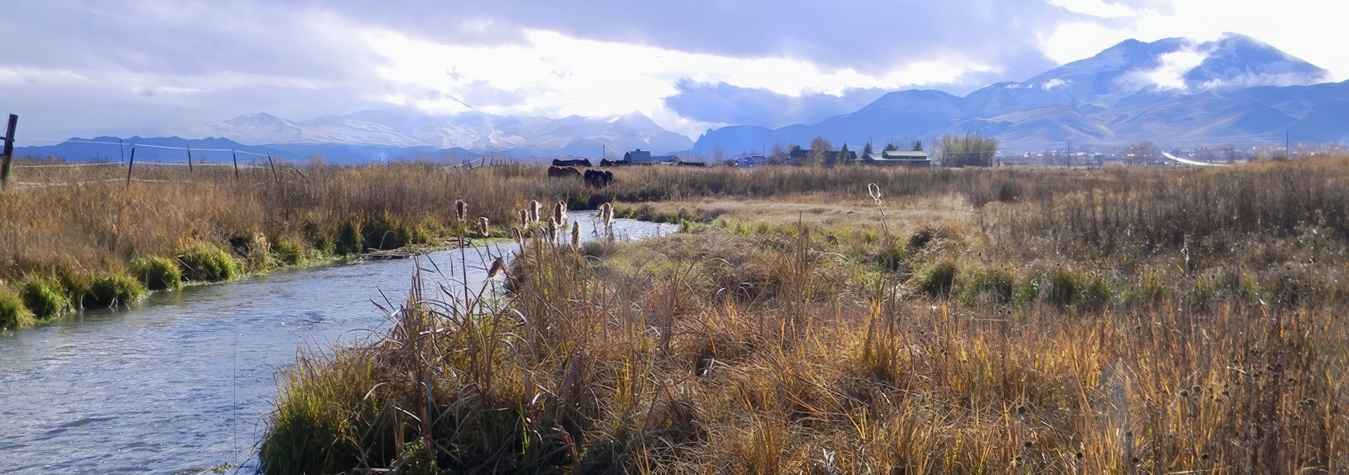 idaho property for sale piva ranch