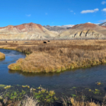 idaho ranch for sale piva ranch