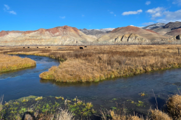 idaho ranch for sale piva ranch