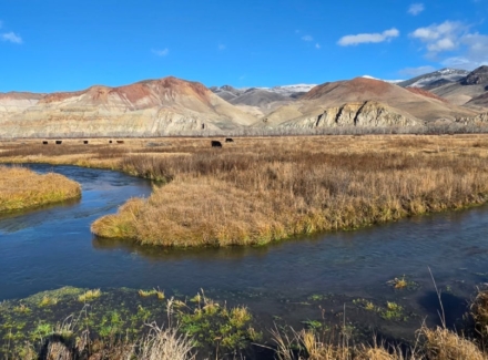 idaho ranch for sale piva ranch