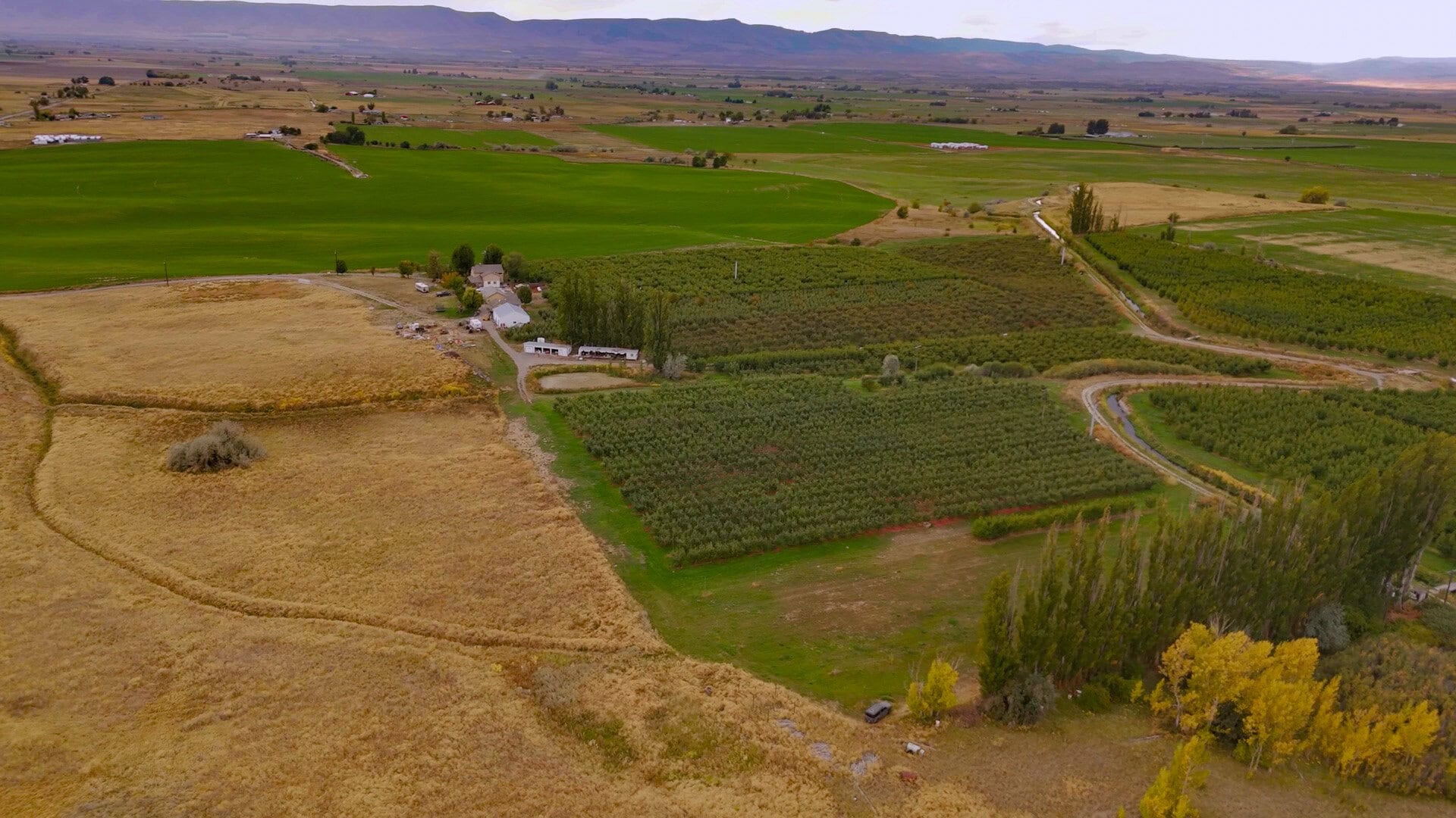 orchard acreage washington wildwood farms