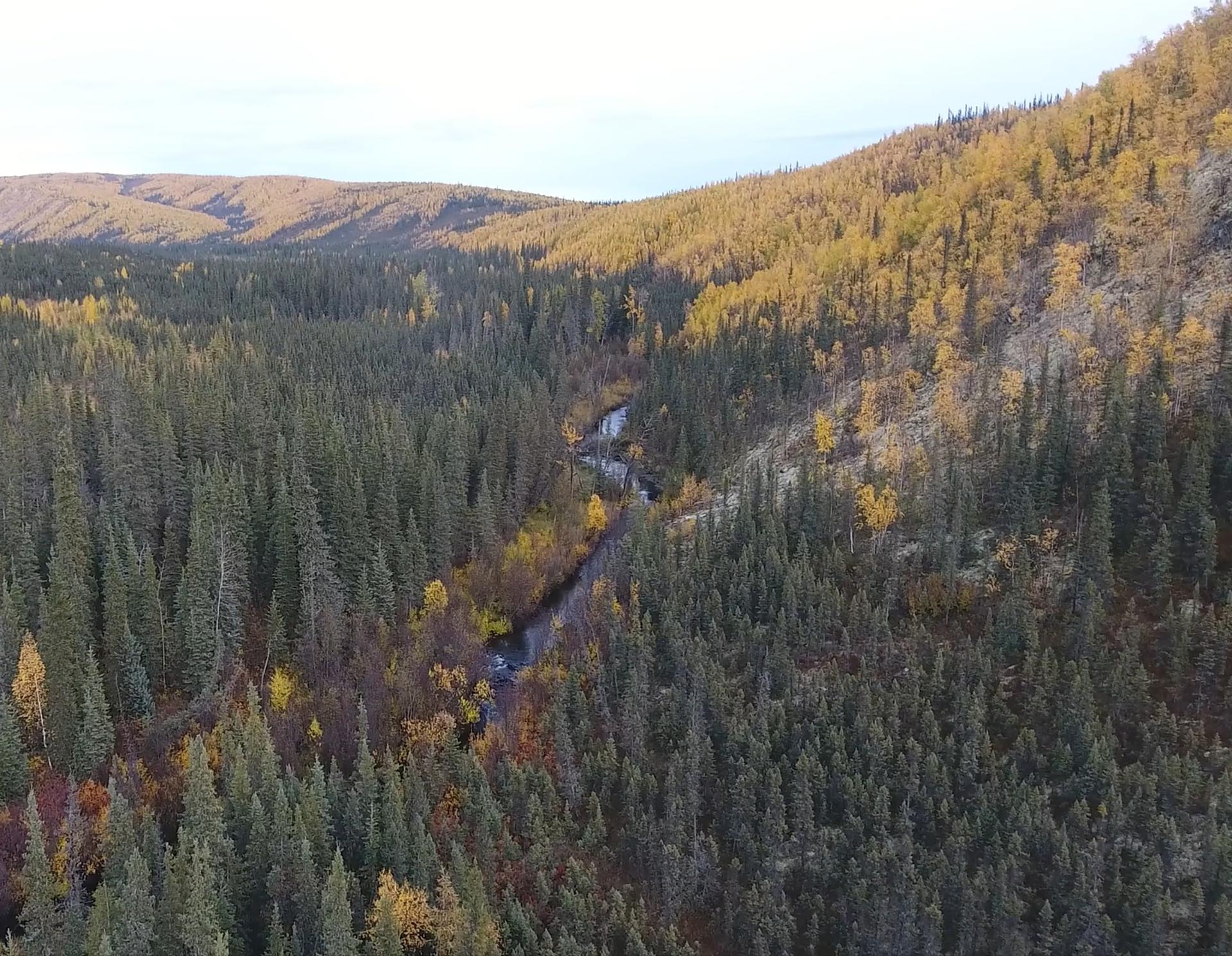 turnkey alaska little boulder creek gold mine