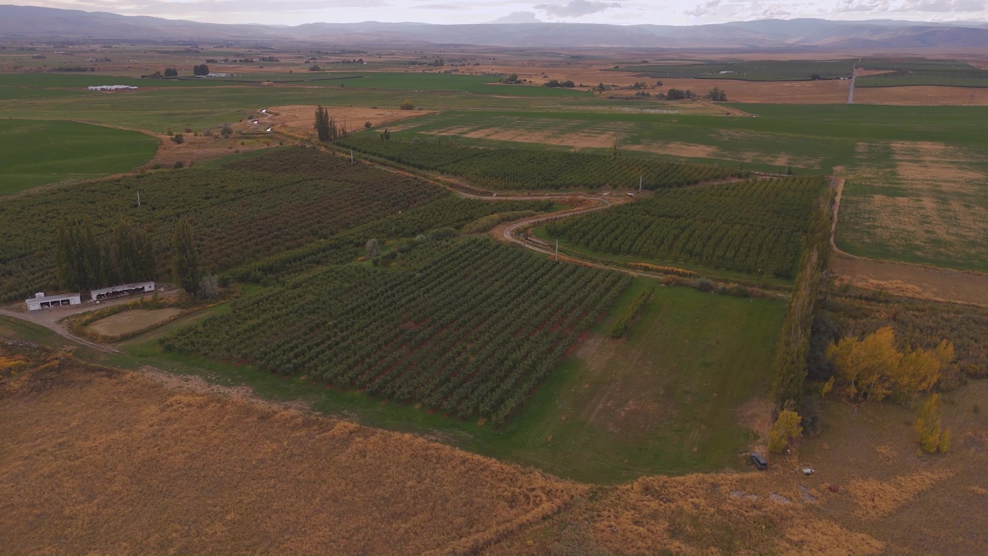 view of orchard washington wildwood farms