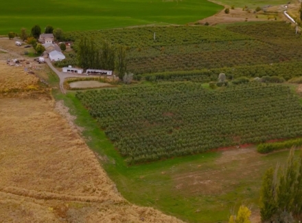 washington orchards for sale wildwood farms