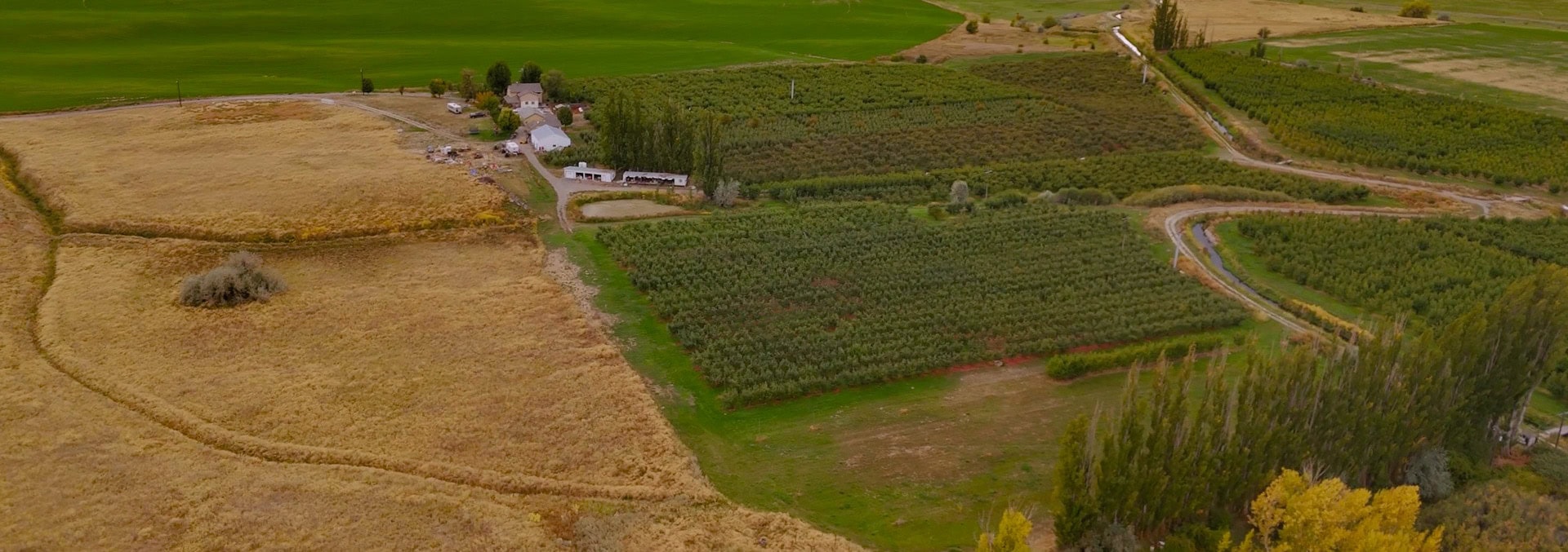 washington orchards for sale wildwood farms