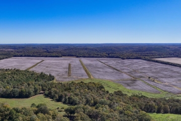 Alabama mississippi Cropland for Sale Allsboro Limestone Farm