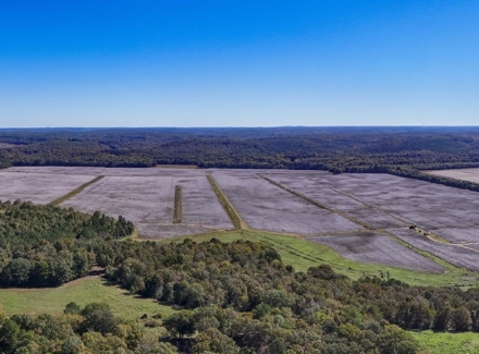 Alabama mississippi Cropland for Sale Allsboro Limestone Farm