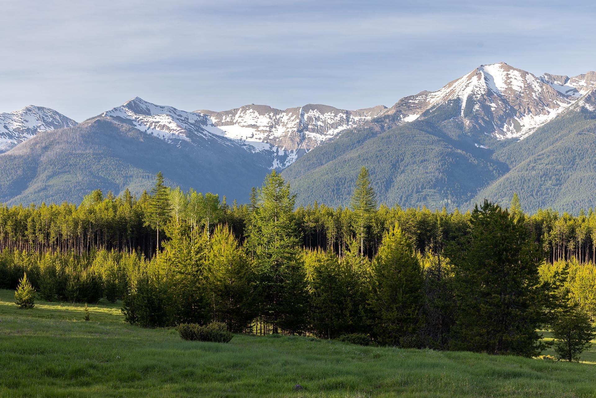 Evening Light Montana Hanging J Ranch