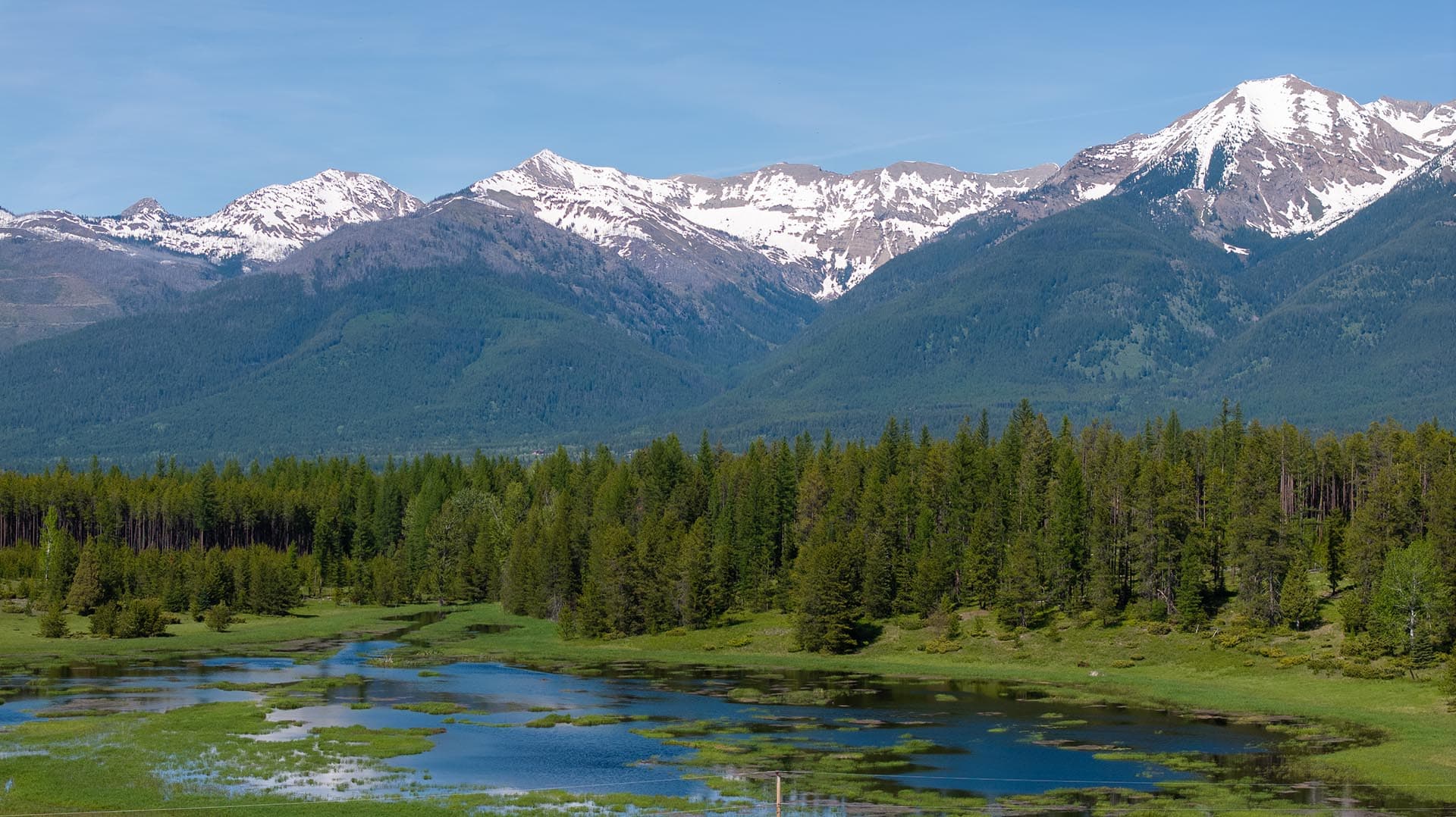 spring colors montana hanging j ranch