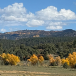 Stunning property for sale in New Mexico El barranco east