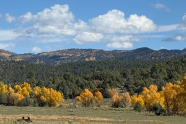 Stunning property for sale in New Mexico El barranco east