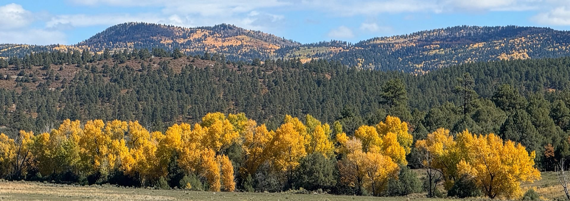 Stunning view New Mexico El barranco east