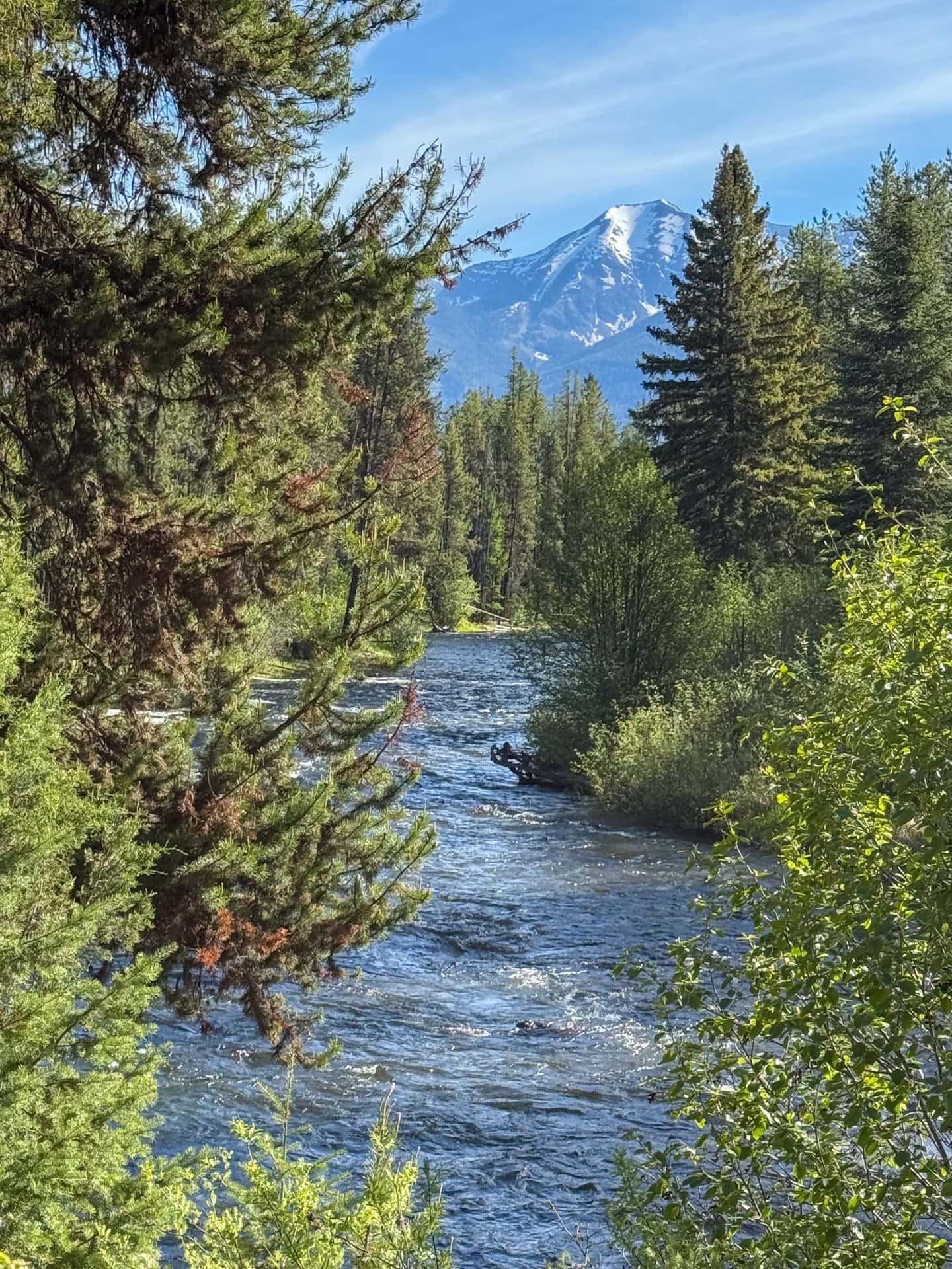 The Swan River Montana Hanging J Ranch