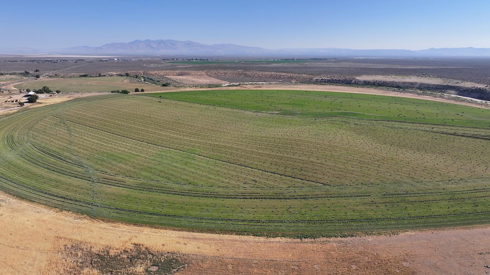 ag land with gps pivot for sale california wavy s ranch