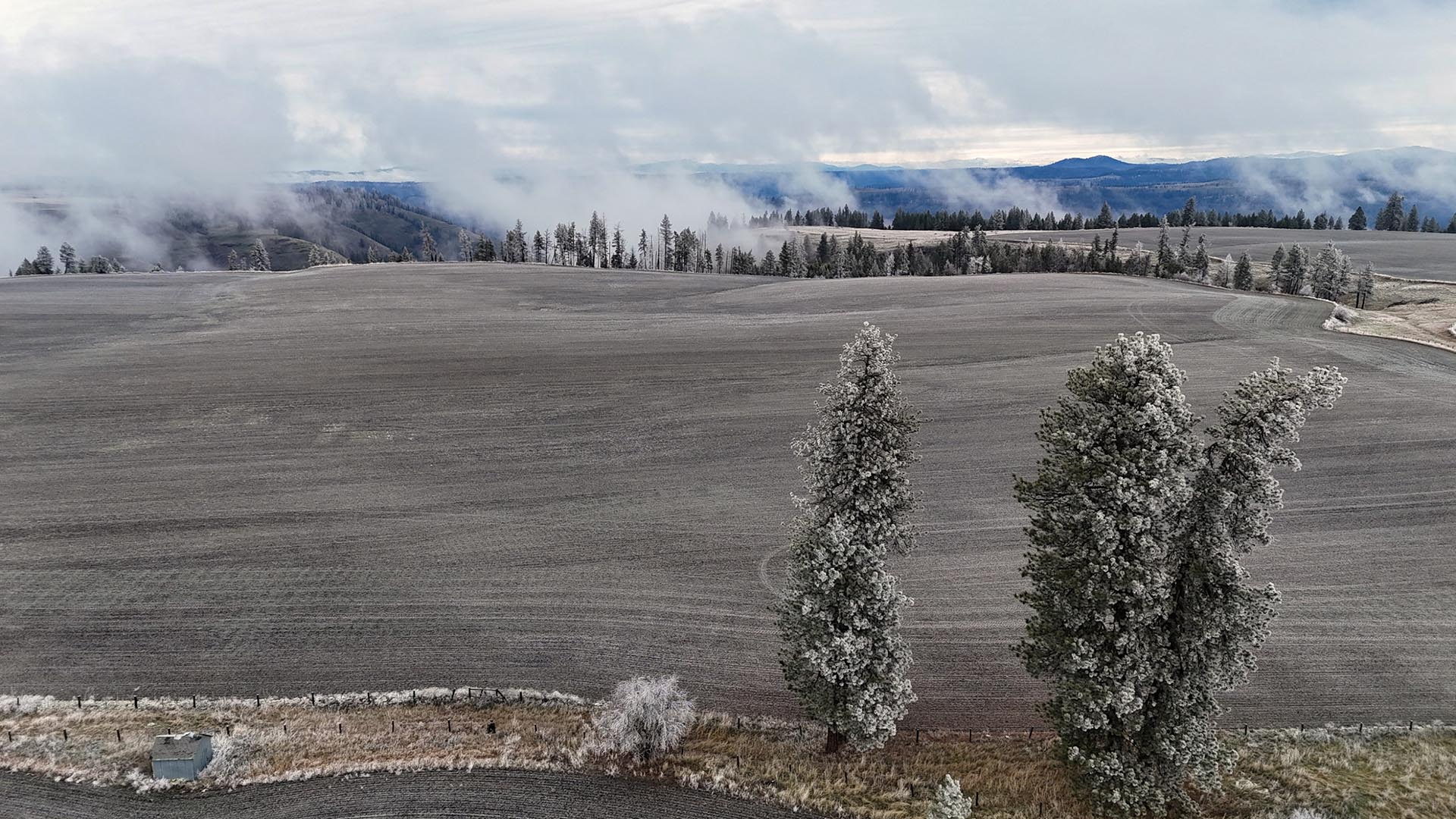 agricultural idaho nez perce prairie