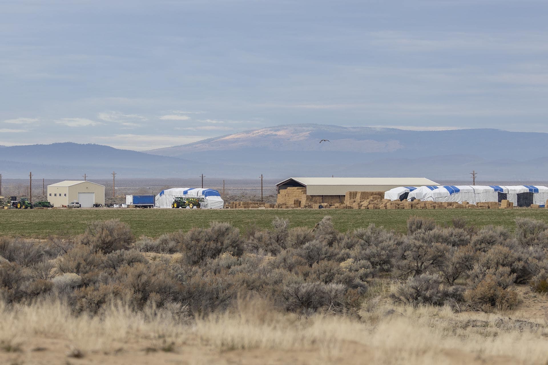 agricultural production land for sale california drifting hills ranch