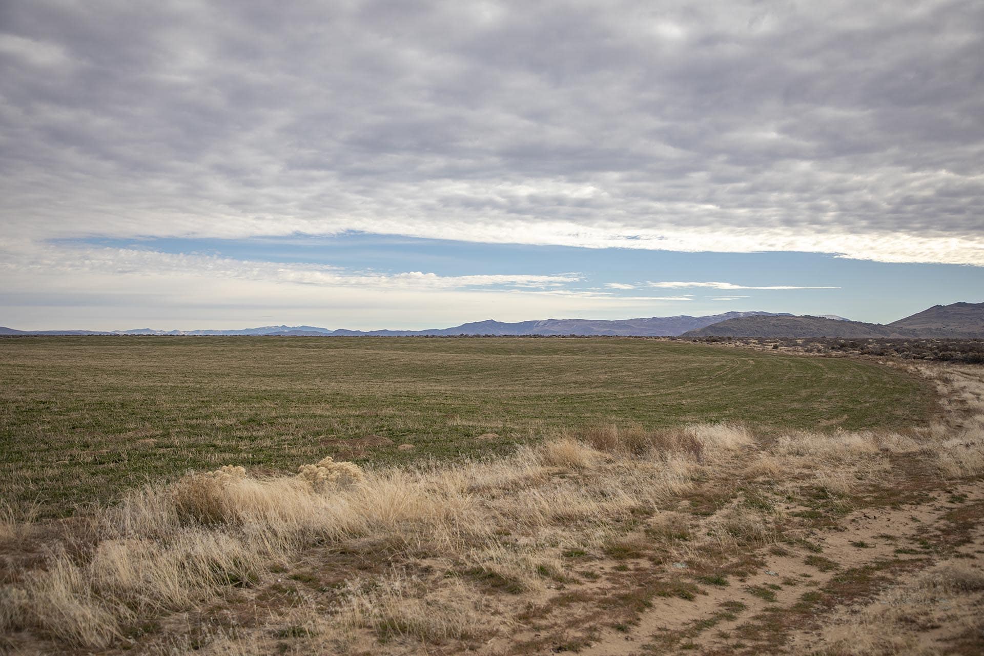 agricultural ranch for sale california drifting hills ranch