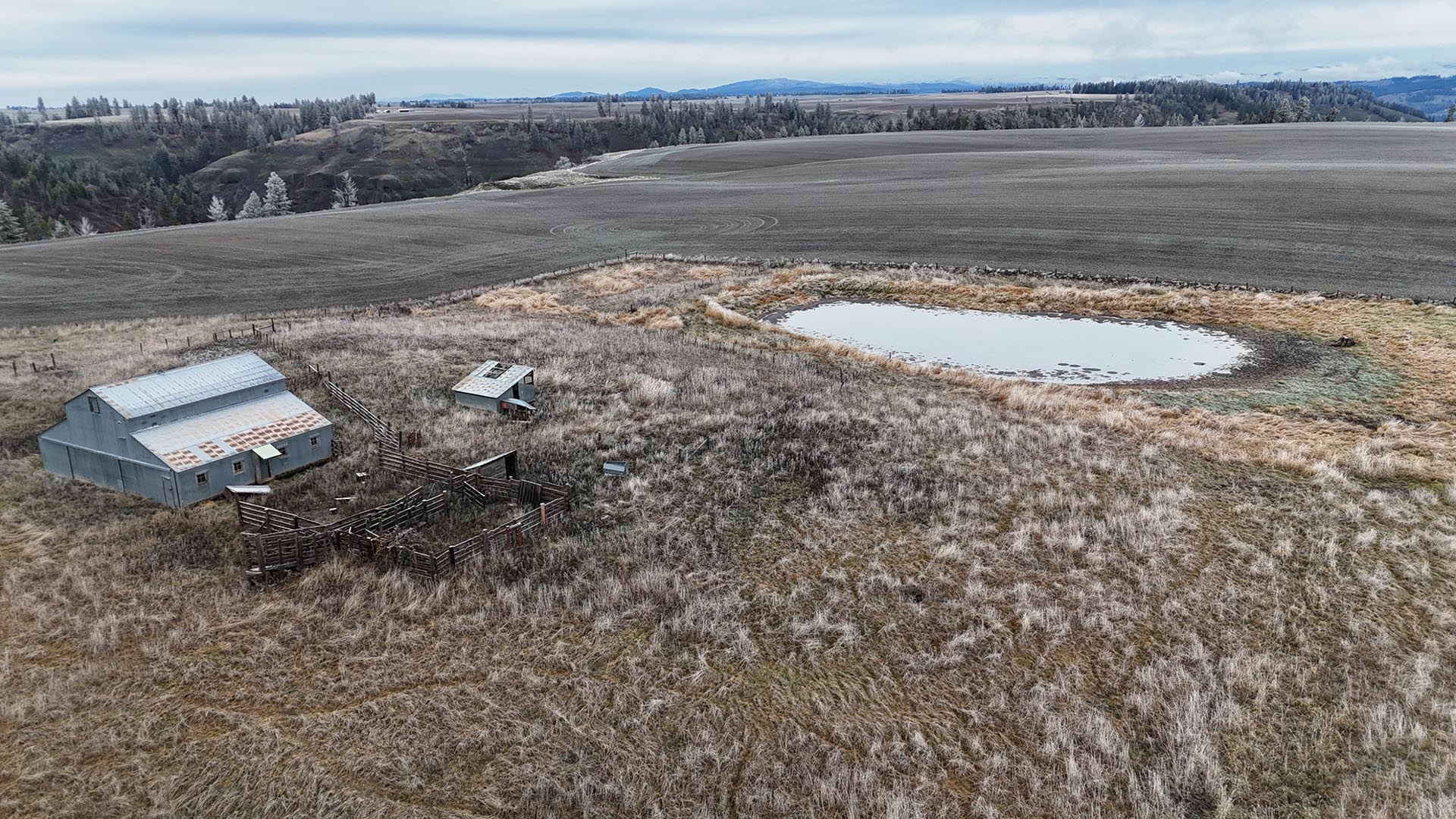 barn pond idaho nez perce prairie