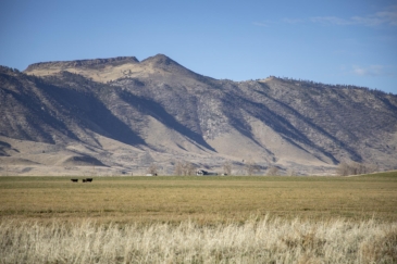 cattle land for sale california wavy s ranch
