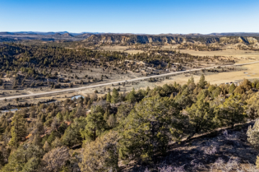 cattle land for sale with wildlife habitat utah juniper hollow ranch