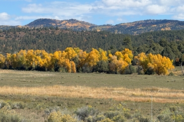 cattle property for sale New Mexico El barranco east