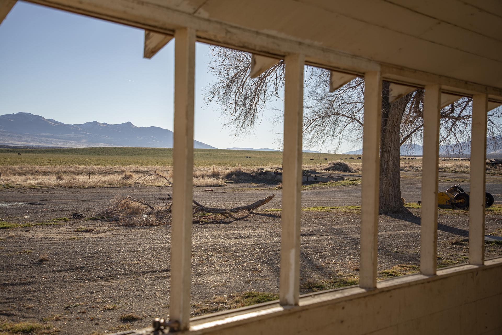 cattle property for sale california wavy s ranch