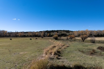 cattle property for sale new mexico el barranco on the chama