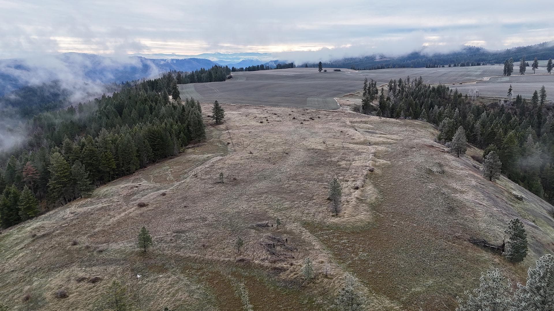 cultural lands idaho nez perce prairie