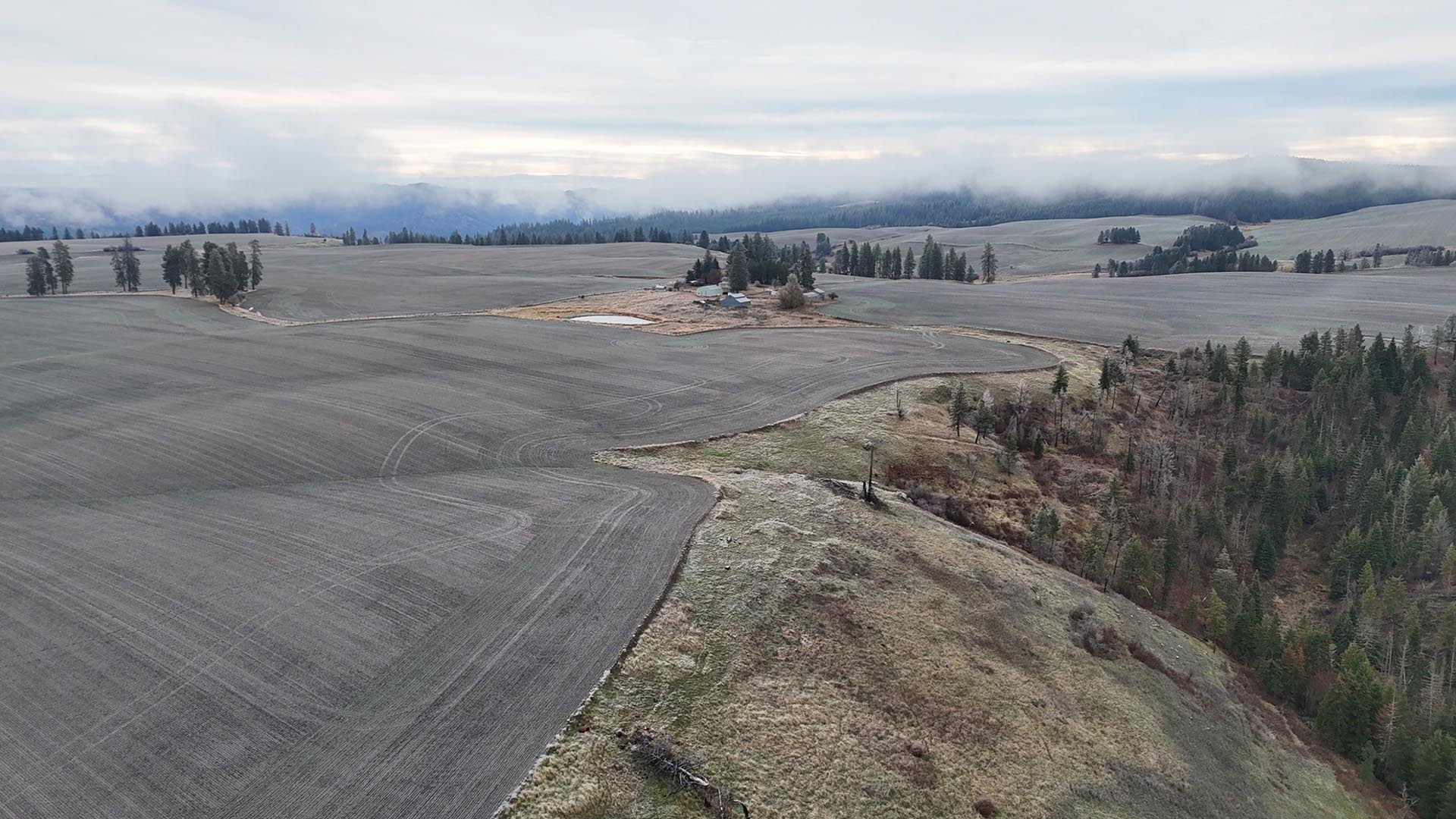 dryland wheat idaho nez perce prairie