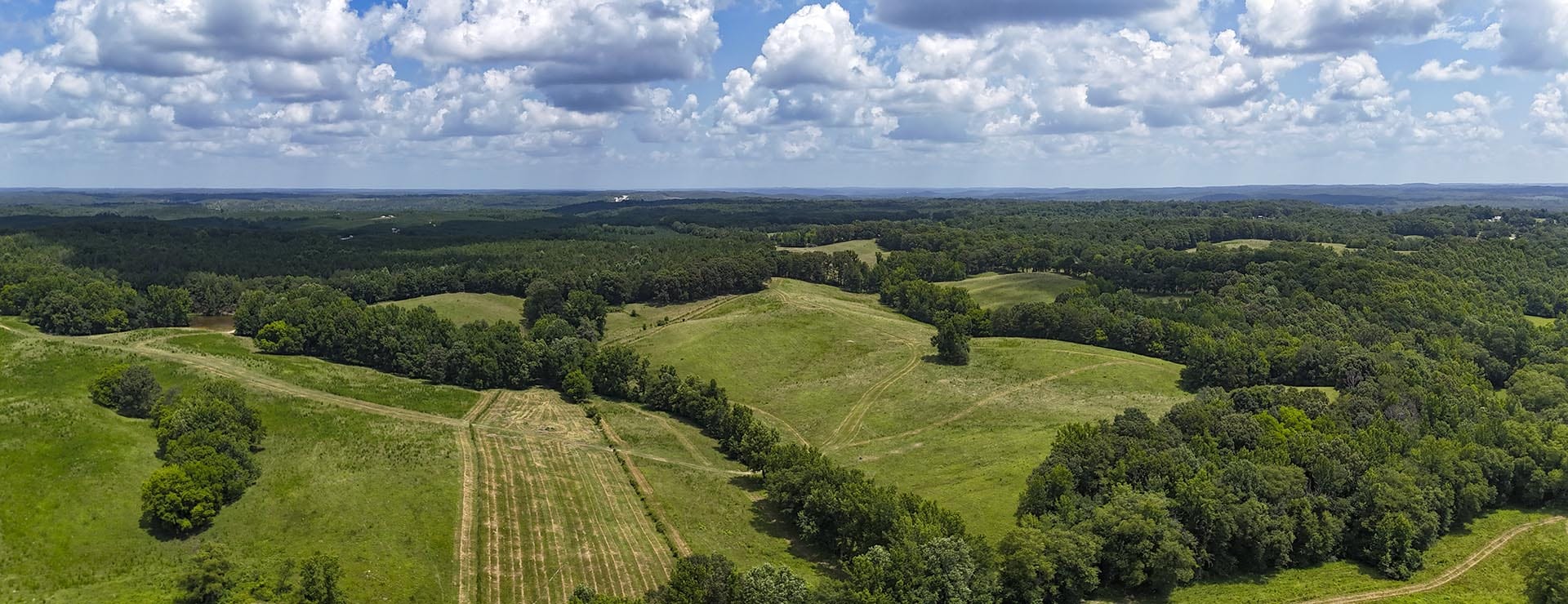 Aerial panorama of green fields and dense forests under a bright, cloudy sky.