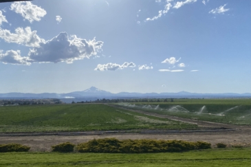 farm land for sale oregon mountain sunset farm