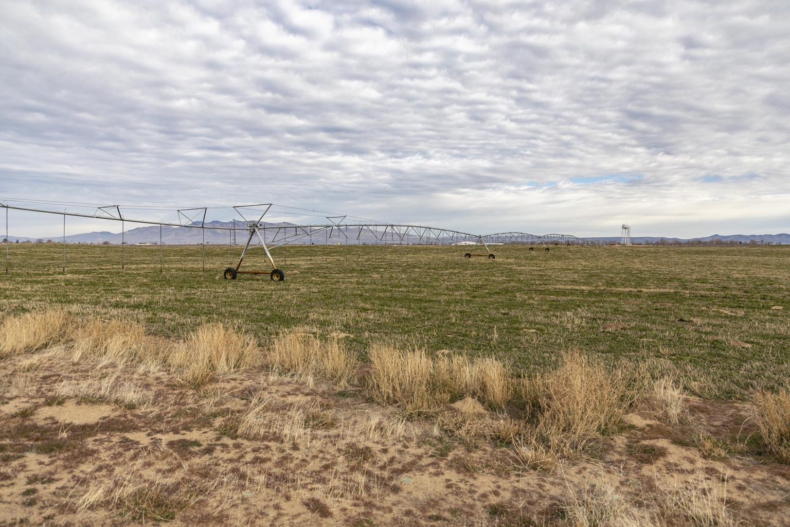 Drifting Hills Ranch | Herlong California | Fay Ranches