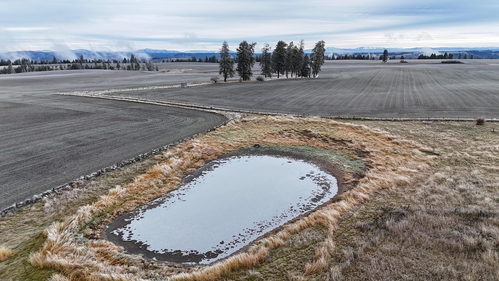 farm with pond idaho nez perce prairie
