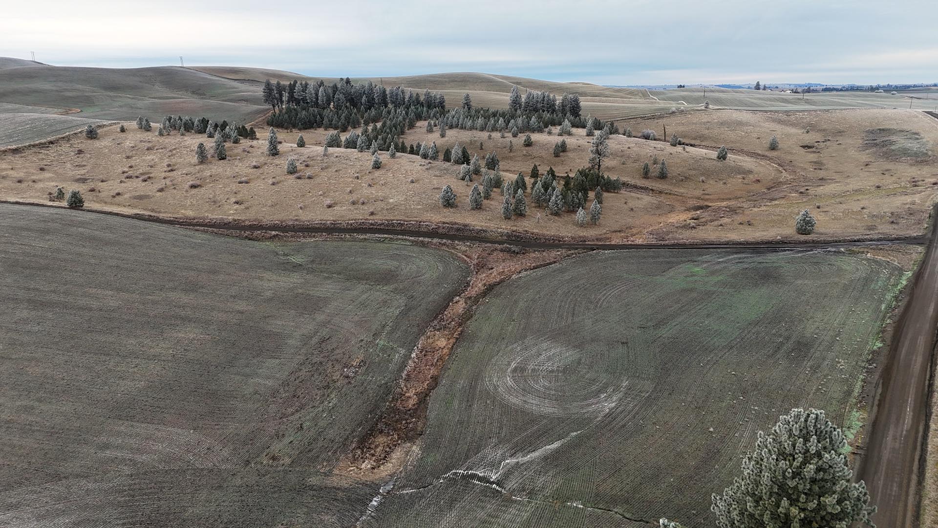 farmland rangeland idaho nez perce prairie
