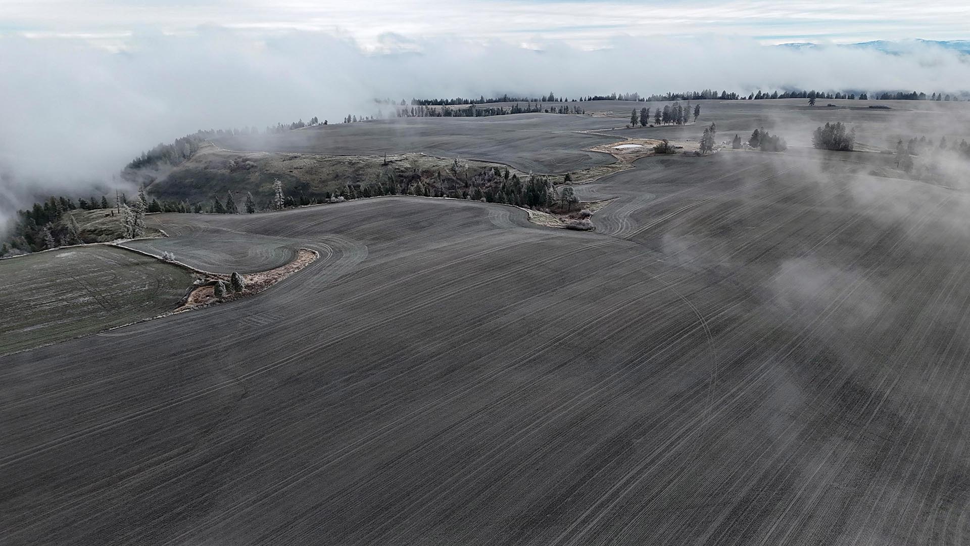 farms idaho nez perce prairie