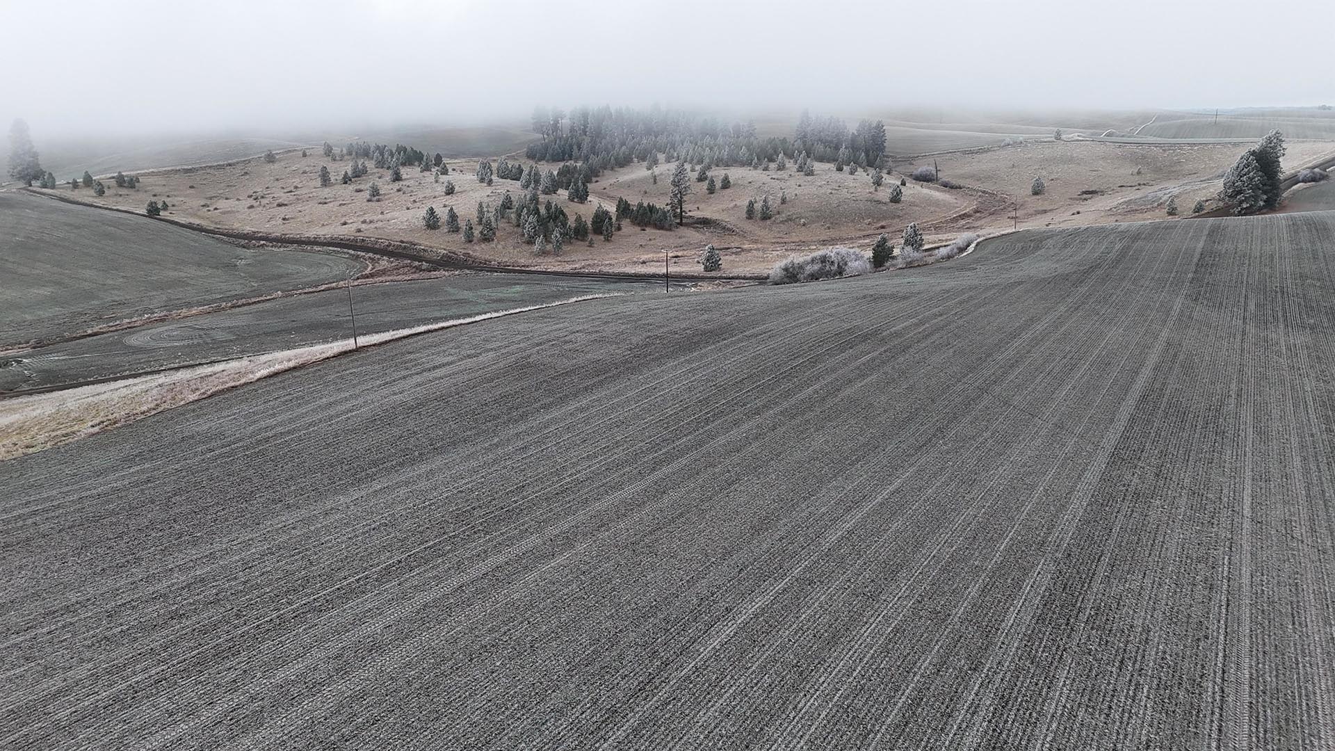 fertile soil idaho nez perce prairie