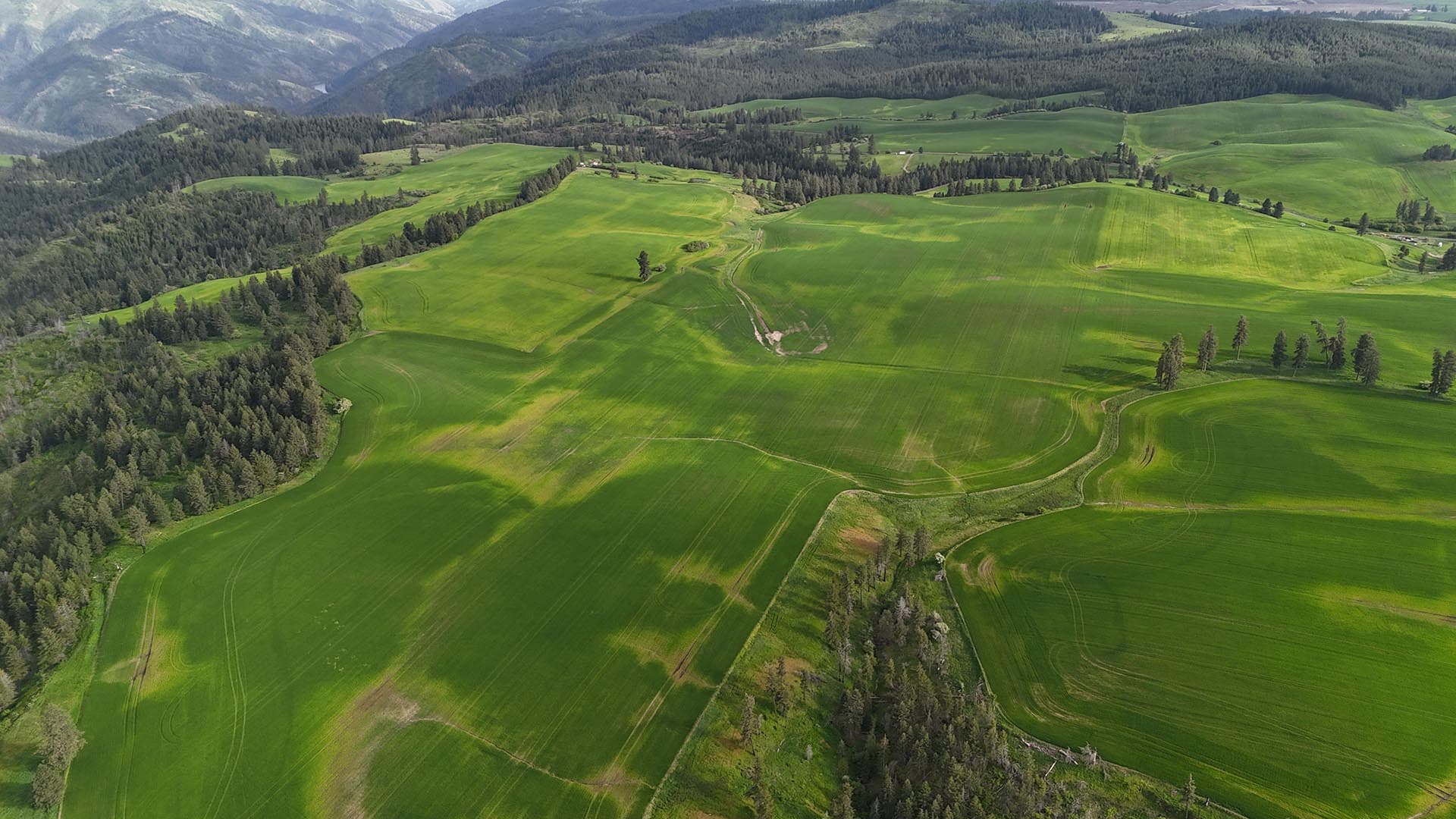 grangeville area idaho wheatland nez perce prairie