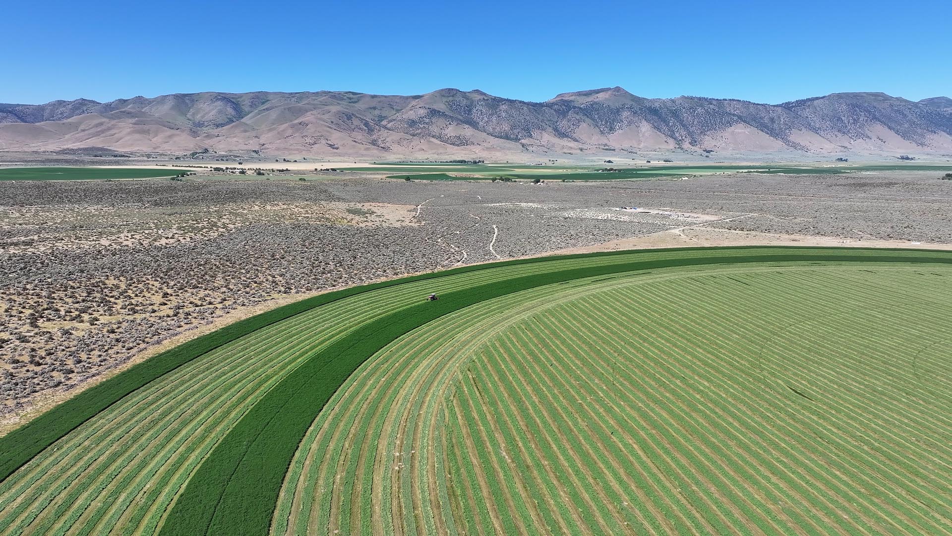 hay business for sale california drifting hills ranch