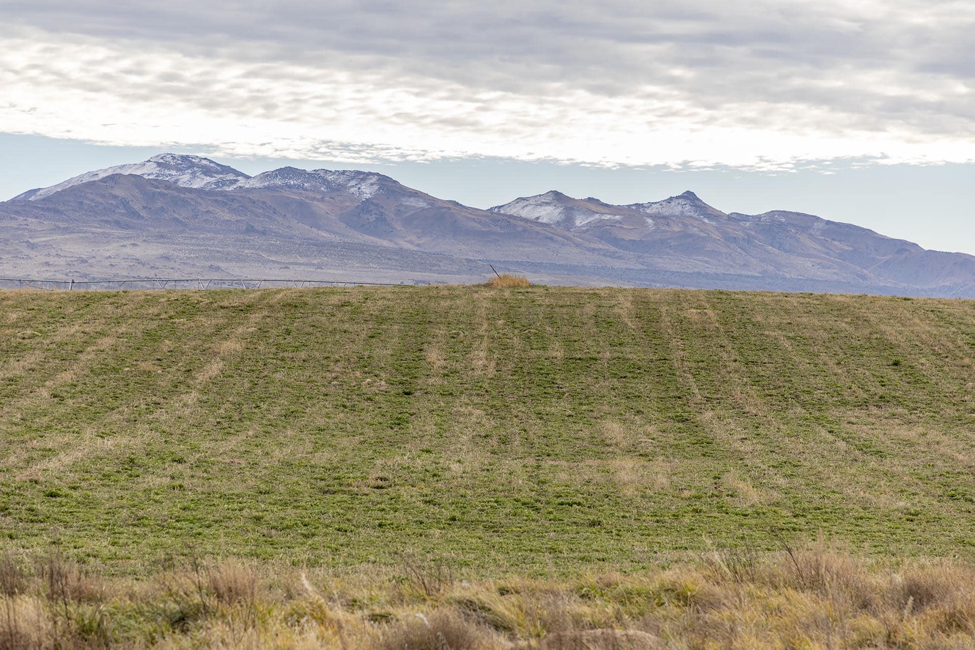 hay fields for sale california drifting hills ranch