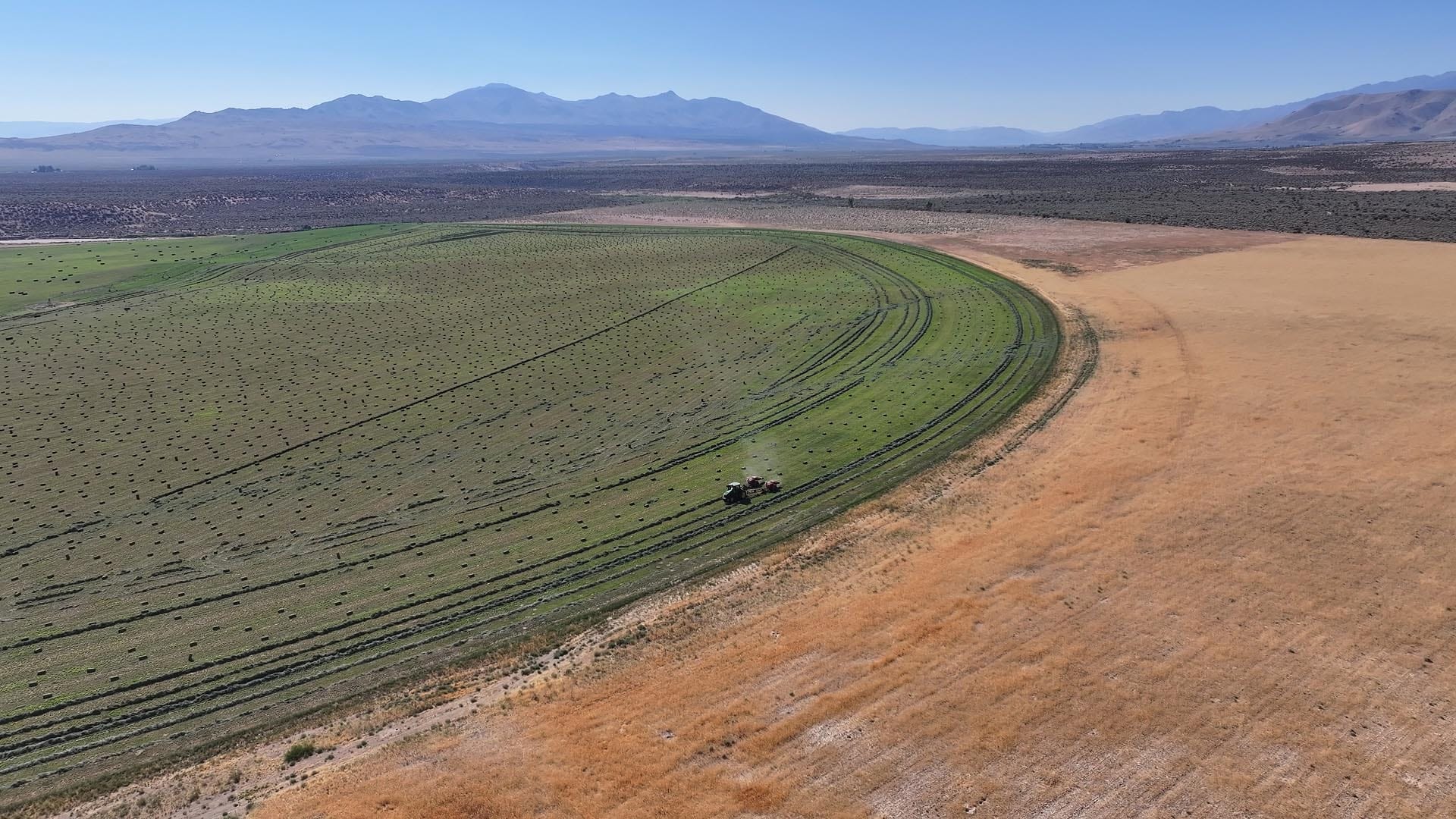 hay production land for sale california wavy s ranch
