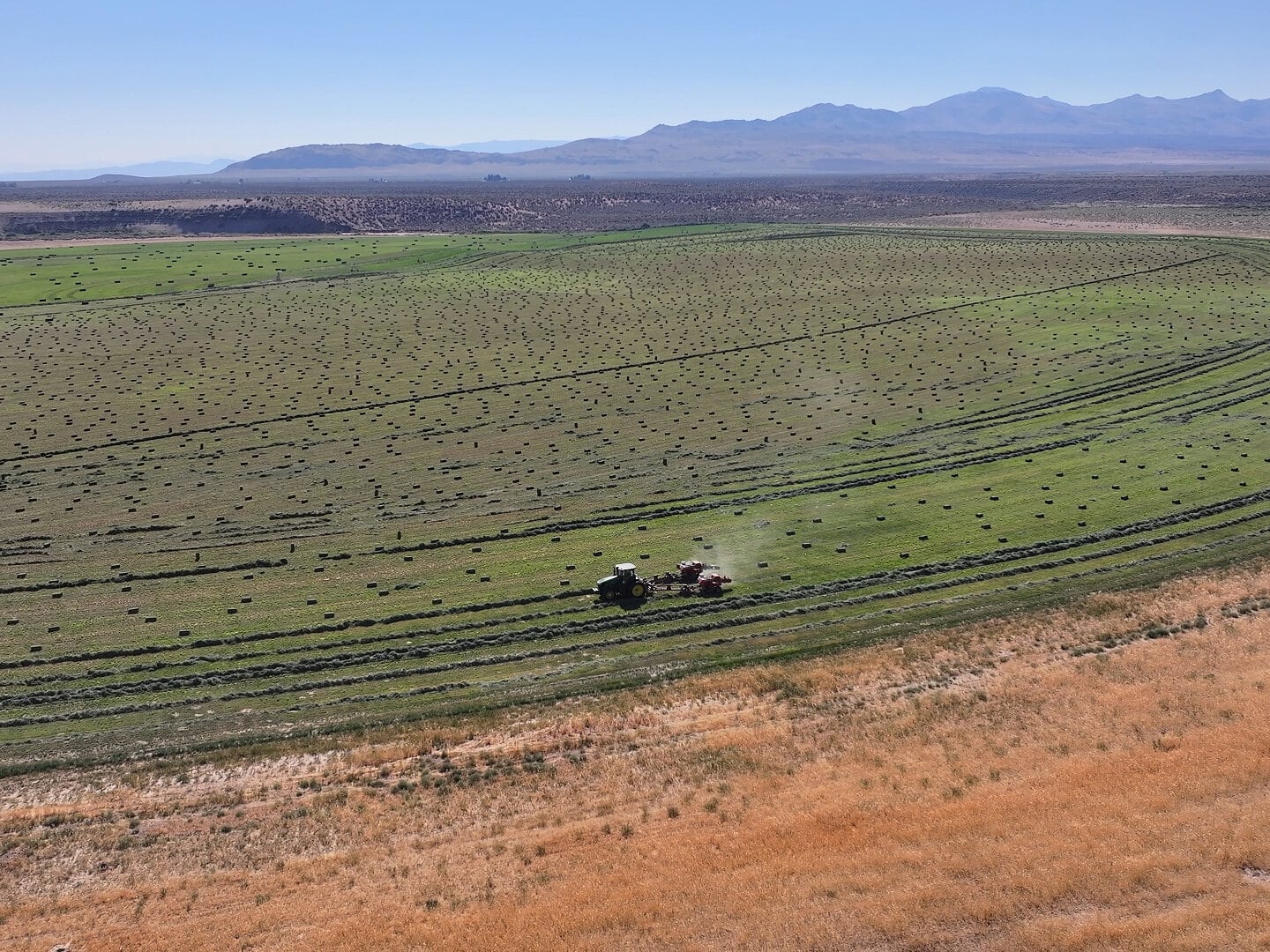 hay ranch for sale california wavy s ranch