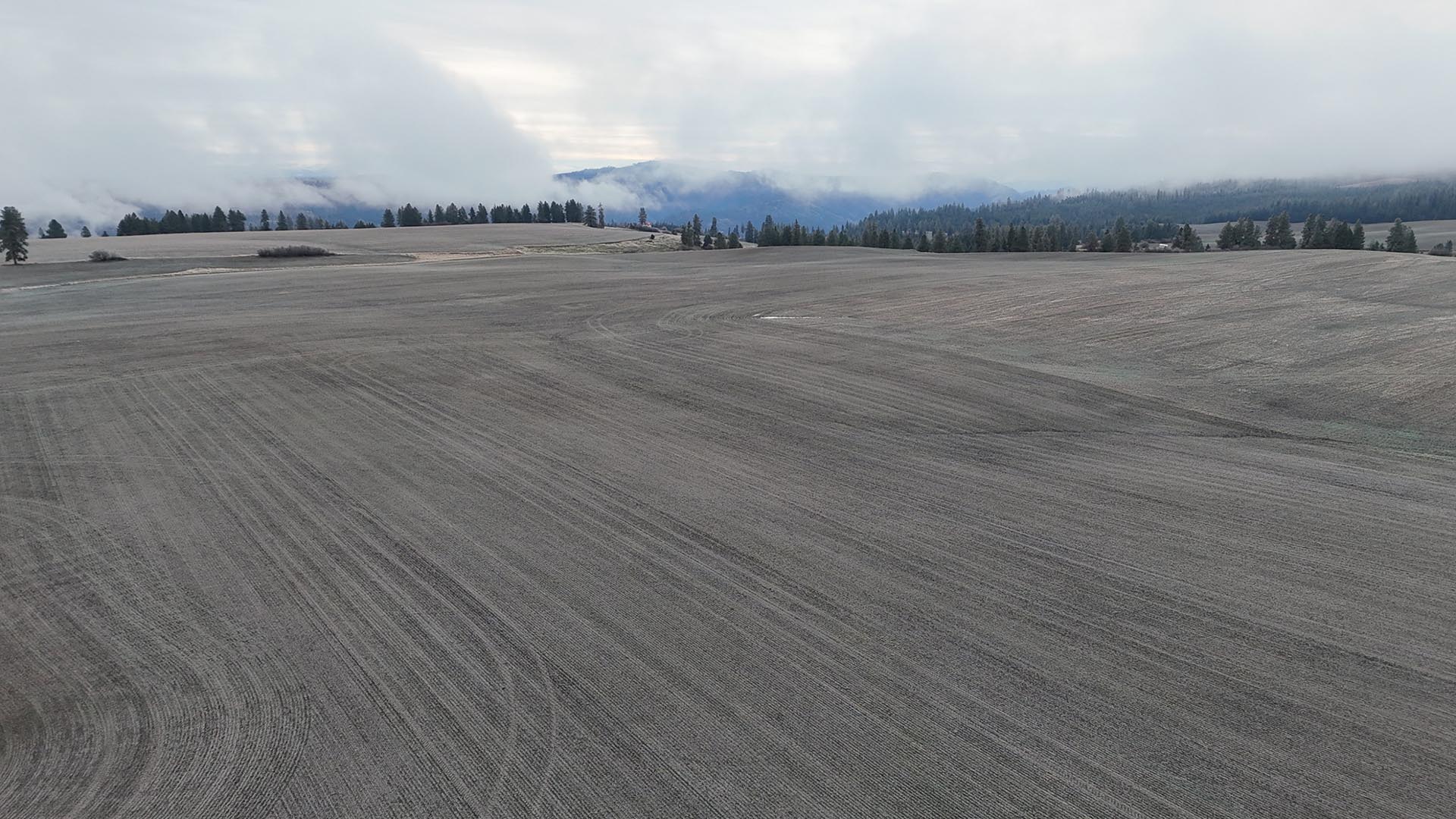 high production land idaho nez perce prairie