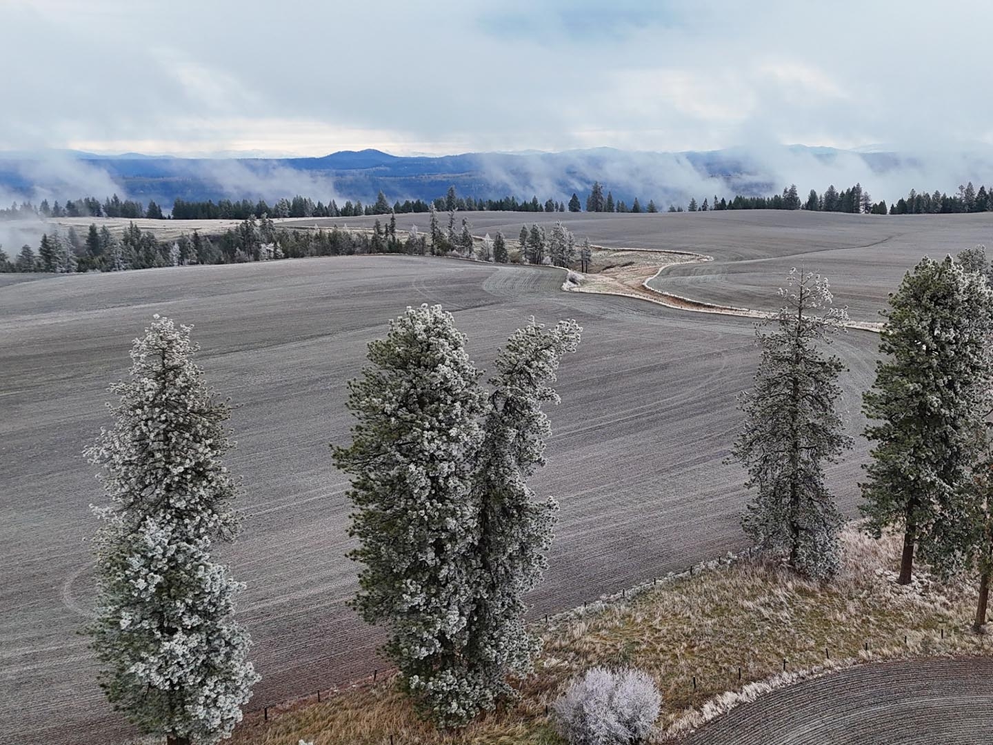 hunting farm idaho nez perce prairie