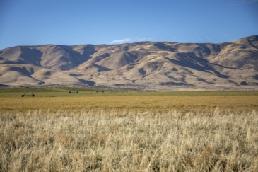 hunting land for sale california wavy s ranch