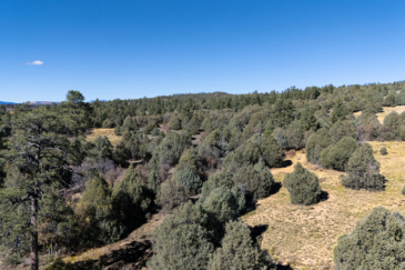 hunting land for sale new mexico el barranco east