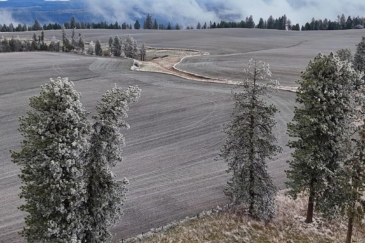 idaho farms for sale nez perce prairie