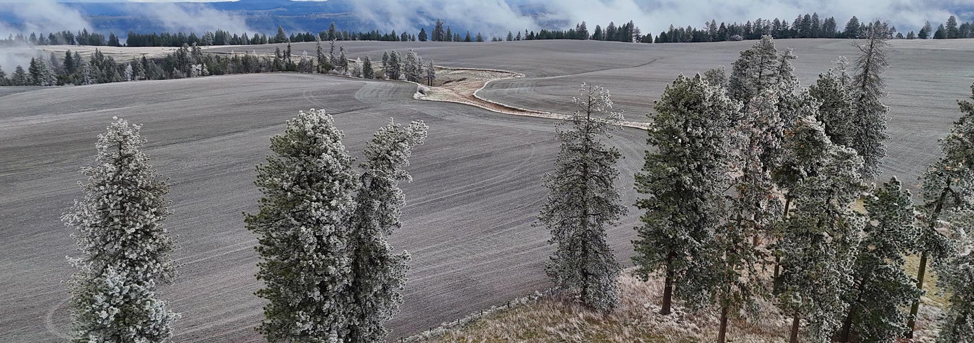 idaho farms for sale nez perce prairie