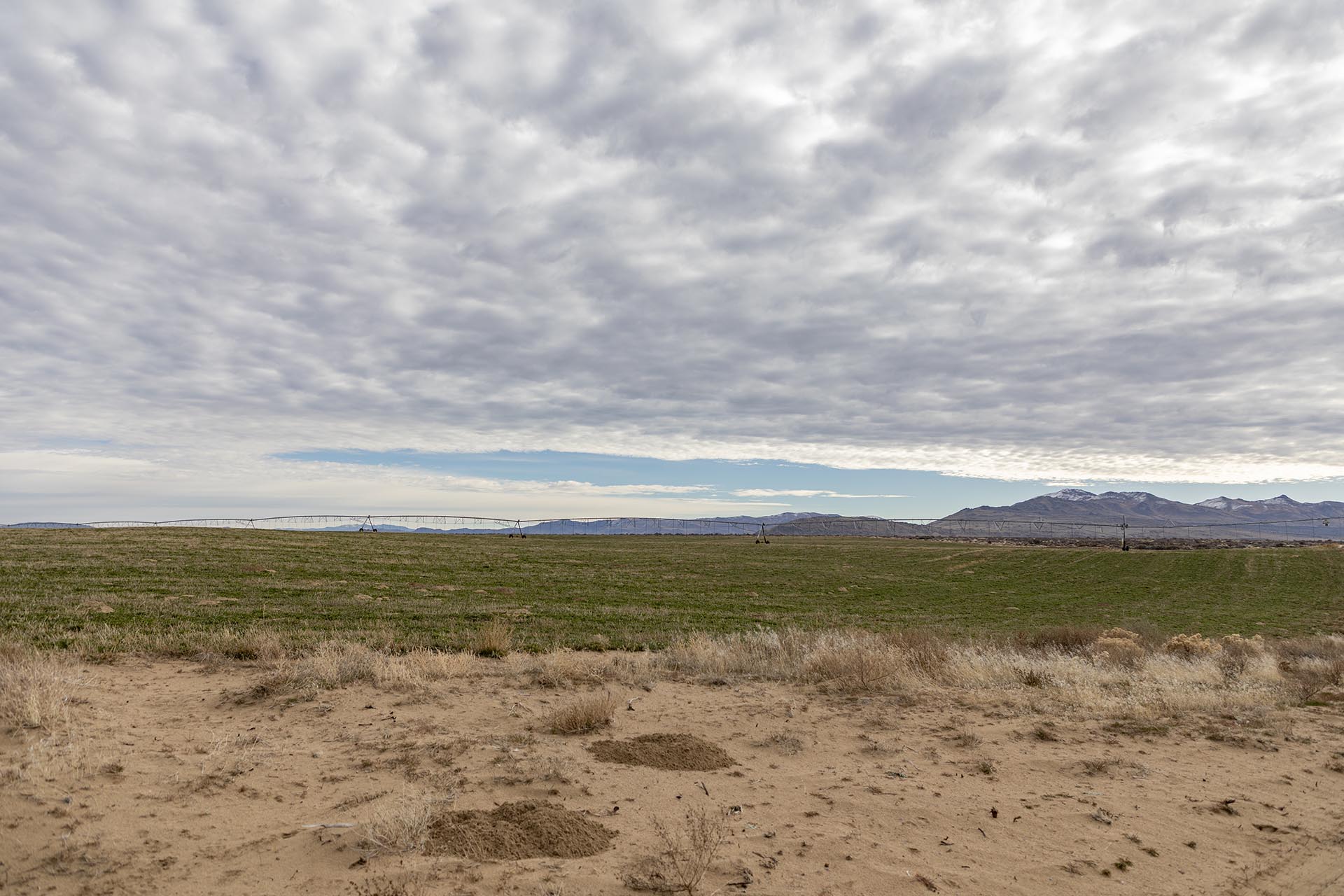 irrigated hay ranch for sale california drifting hills ranch